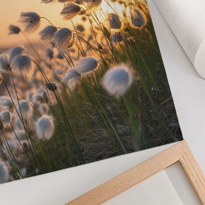 Premium wall art Grasses at sunset, warm colors, naturalness