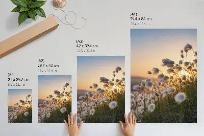 Premium wall art grasses at sunset in warm natural colors