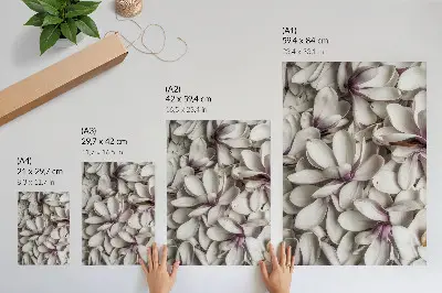 Decorative poster white petals with a purple floral nature pattern