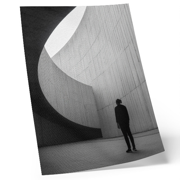 Premium wall art Curved architecture monochromatic tones