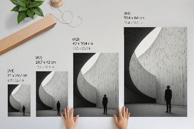 Premium wall art Curved architecture monochromatic tones