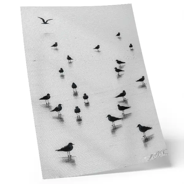 Birds over water poster subtle reflections minimalism