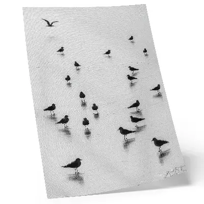 Birds over water poster subtle reflections minimalism