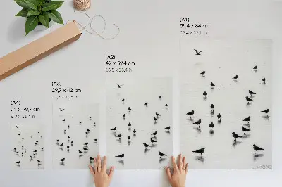 Birds over water poster subtle reflections minimalism