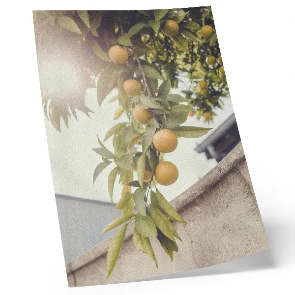 Decorative poster tree branch with sun and green leaves in orange tones