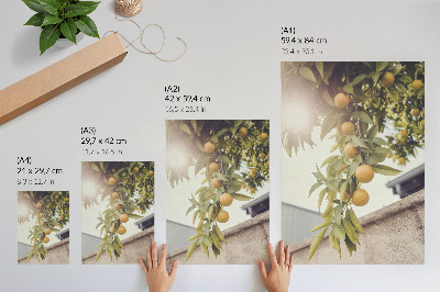 Decorative poster Tree branch sun green leaves orange