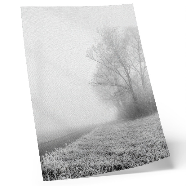 Decorative poster Subtle fog trees winter landscape peaceful atmosphere