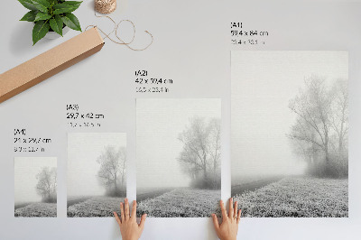 Decorative poster Subtle fog trees winter landscape peaceful atmosphere