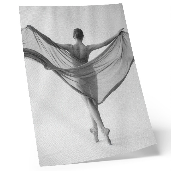Poster Black and white dance elegance movement sophistication