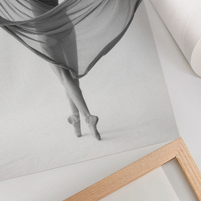 Poster Black and white dance elegance movement sophistication