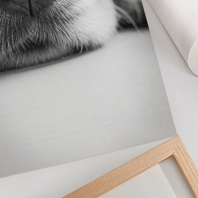 Premium wall art Close-up of a dog black and white texture minimalism
