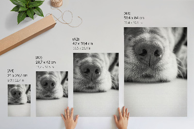 Premium wall art Close-up of a dog black and white texture minimalism