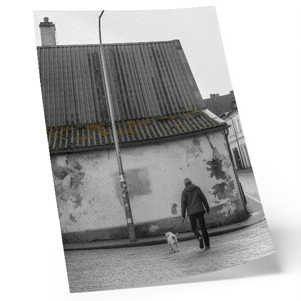 Art print A person with a dog in front of an old building