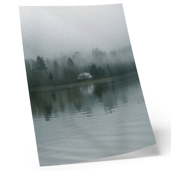 Poster Fog, trees, house, reflection, quiet landscape