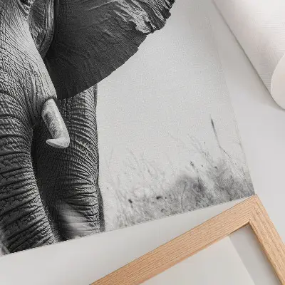 Decorative poster monochromatic atmosphere with wrinkled leather texture and elegant style