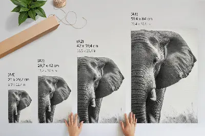 Decorative poster monochromatic atmosphere with wrinkled leather texture and elegant style