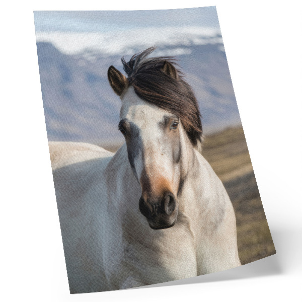 Art print The natural beauty of a horse against the backdrop of mountains, tranquility, simplicity