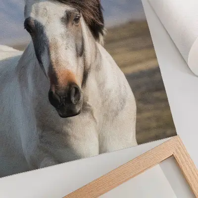 Horse art print a majestic horse in the mountains depicting tranquility and simplicity