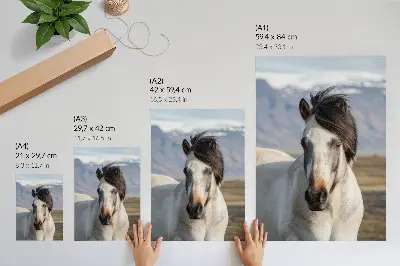 Horse art print a majestic horse in the mountains depicting tranquility and simplicity