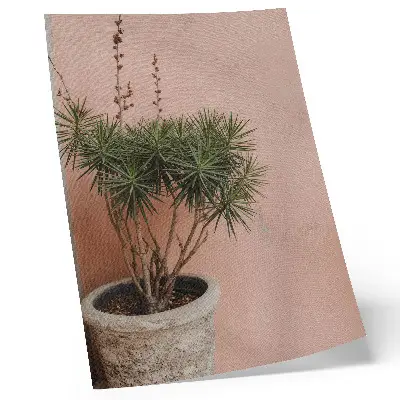 Poster green plant against a peach wall background