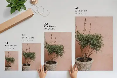 Poster green plant against a peach wall background