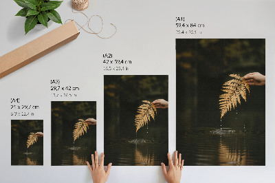 Art print Fern over the water, harmonious drops, reflection