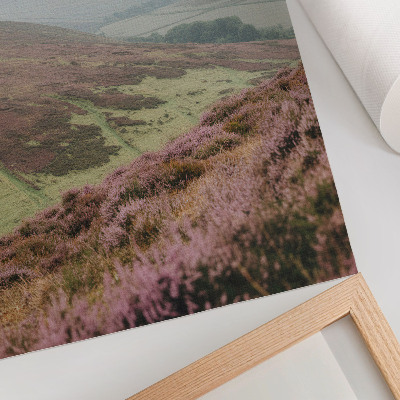 Premium wall art Purple heather fog green gentle hills