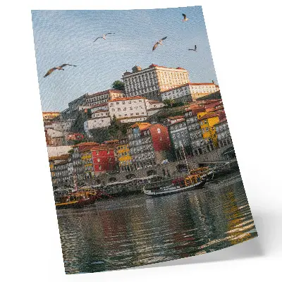 Poster colorful tenement houses with elegant ships and seagulls