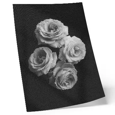 Premium wall art black and white roses with minimalist classic elegance