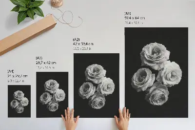 Premium wall art black and white roses with minimalist classic elegance