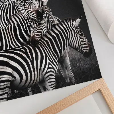 Premium wall art zebra with contrasting black and white vertical lines