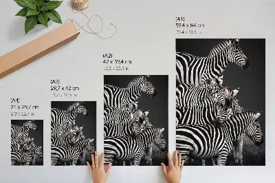 Premium wall art zebra with contrasting black and white vertical lines