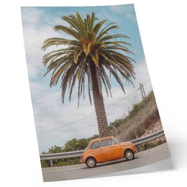 Decorative poster palm tree with a retro car in a natural carefree style
