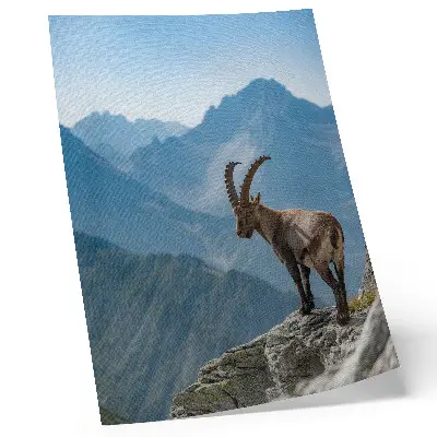 Capricorn Nature Poster featuring a peaceful mountain backdrop