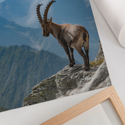 Poster Capricorn against the backdrop of mountains, peaceful harmony of nature