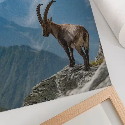 Capricorn Nature Poster featuring a peaceful mountain backdrop