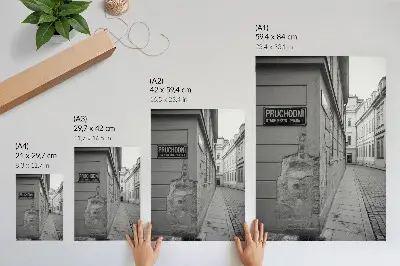 Premium wall art facades of old buildings with architectural details