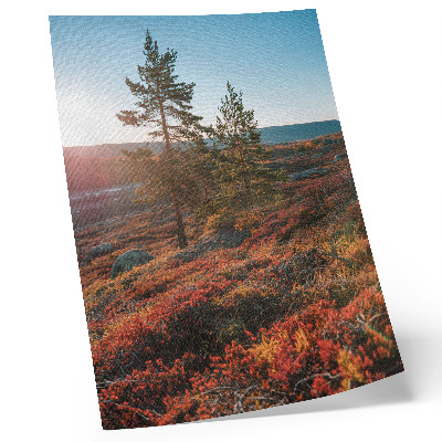 Decorative poster Majestic trees, warm colors, peaceful atmosphere