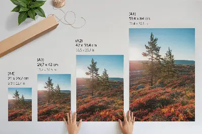 Decorative poster featuring majestic trees with warm colors and a peaceful atmosphere