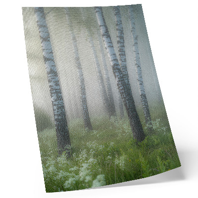 Poster Birches in the fog, white bark, green grass
