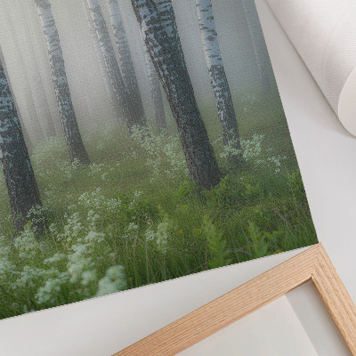 Poster Birches in the fog, white bark, green grass