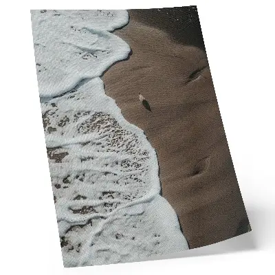 Beach poster relaxing sand, seagull, and ocean waves