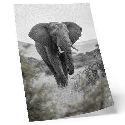 Premium wall art A large elephant against a natural background