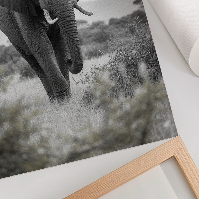 Premium wall art A large elephant against a natural background