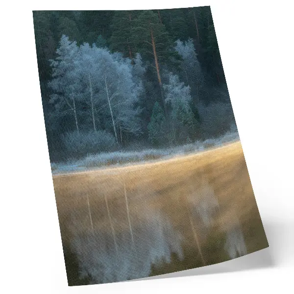 Forest over Water Surface Poster a mystical forest scene with a tranquil water reflection