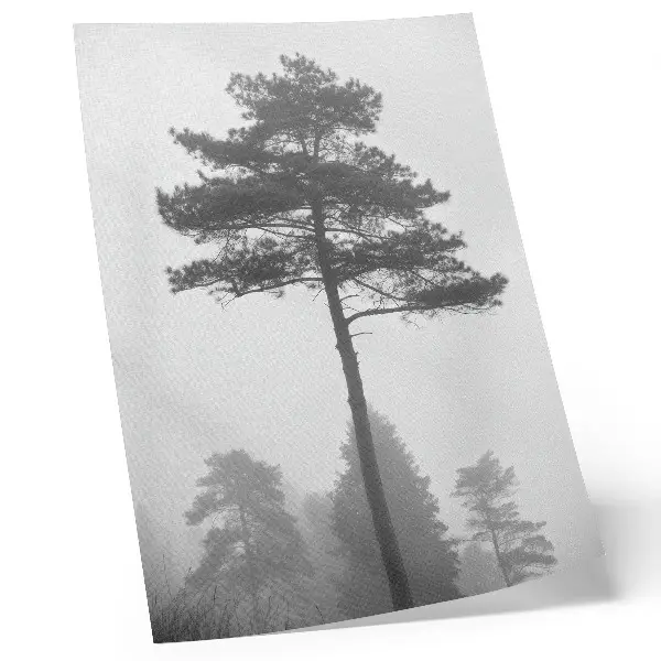 Black and white tree in the fog poster unique silence design