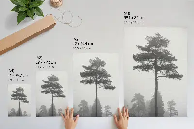 Black and white tree in the fog poster unique silence design