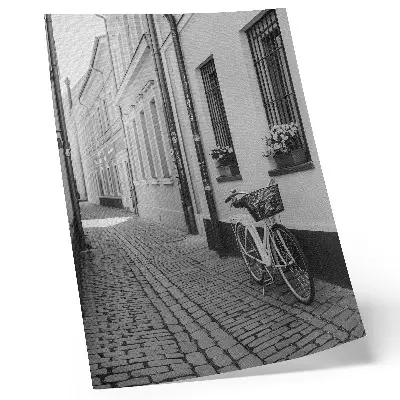 Poster street view with tenement houses, flowers, and a bicycle in black and white
