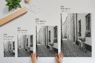 Poster street view with tenement houses, flowers, and a bicycle in black and white