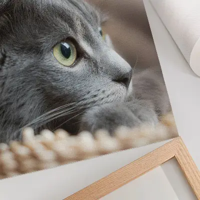 Art print gray cat with green eyes close up
